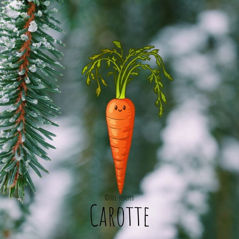 Free-spirited-fruits-légumes-saison-janvier-carotte