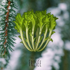 Free-spirited-fruits-légumes-saison-janvier-frisee