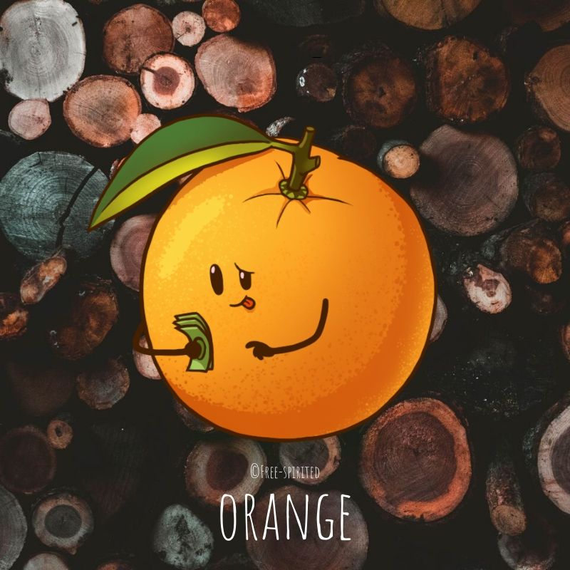 Free-spirited-fruits-légumes-saison-janvier-orange