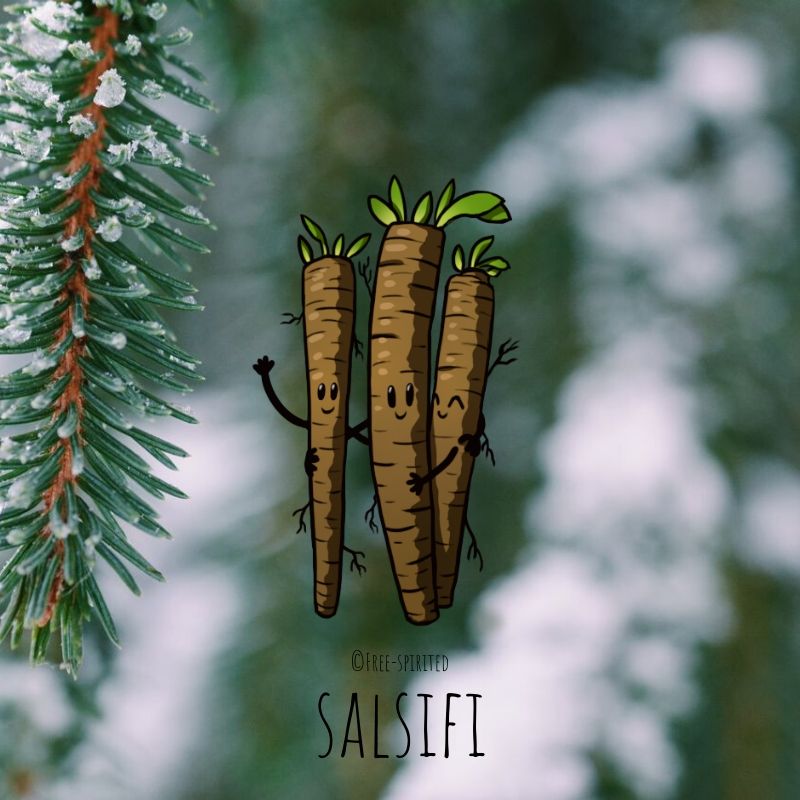 Free-spirited-fruits-légumes-saison-janvier-salsifi
