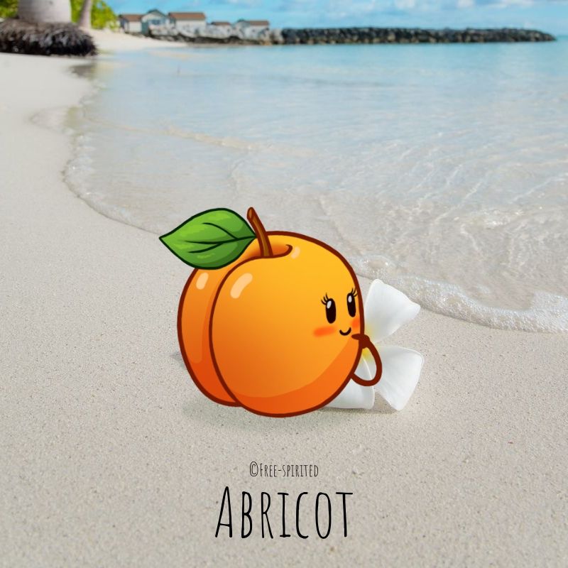 Free-spirited-fruits-légumes-saison-aout-Abricot