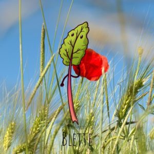 Free-spirited-fruits-légumes-saison-aout-Blette