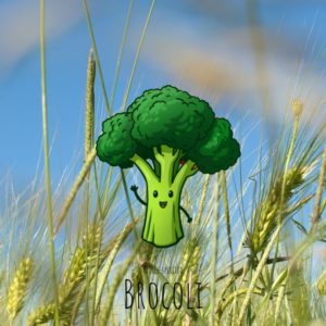 Free-spirited-fruits-légumes-saison-aout-Brocoli