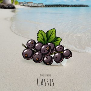 Free-spirited-fruits-légumes-saison-aout-Cassis