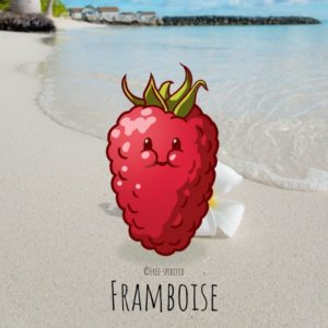 Free-spirited-fruits-légumes-saison-aout-Framboise