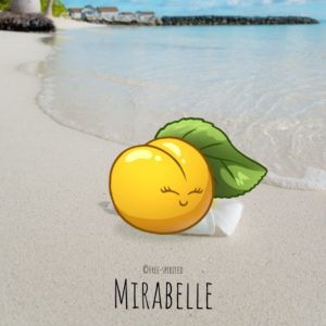 Free-spirited-fruits-légumes-saison-aout-Mirabelle