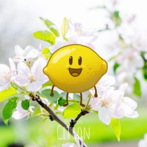 Free-spirited-fruits-légumes-saison-avril-Citron