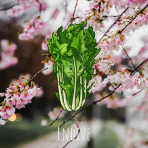 Free-spirited-fruits-légumes-saison-avril-Endive