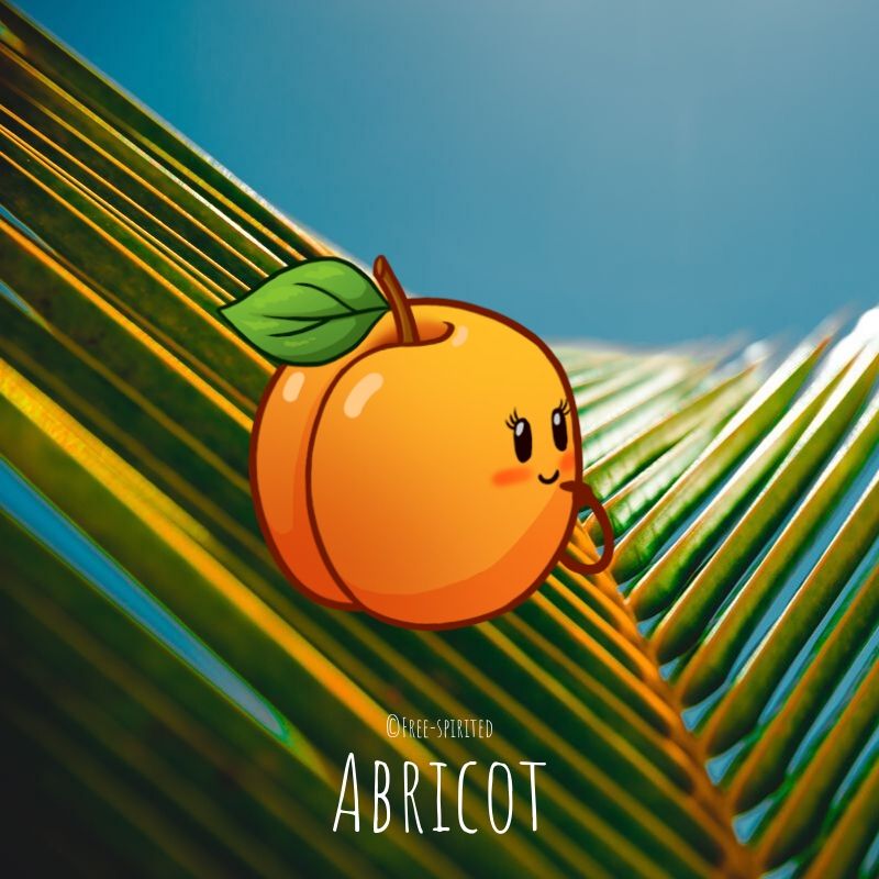 Free-spirited-fruits-légumes-saison-juillet-Abricot