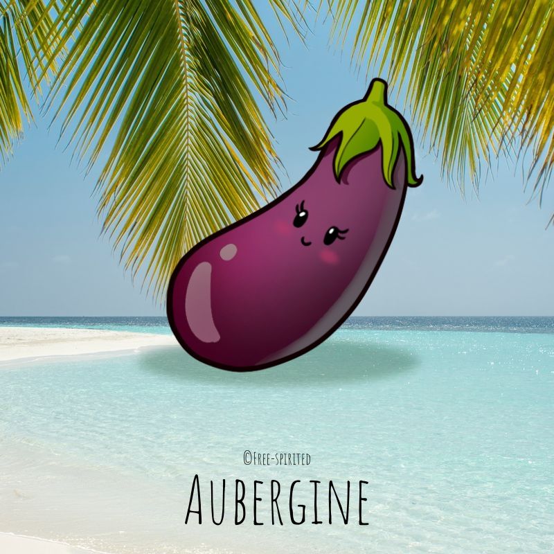 Free-spirited-fruits-légumes-saison-juillet-Aubergine