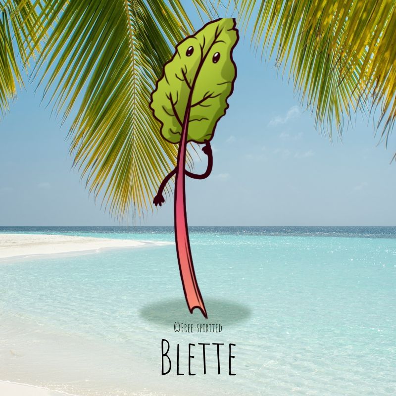 Free-spirited-fruits-légumes-saison-juillet-Blette