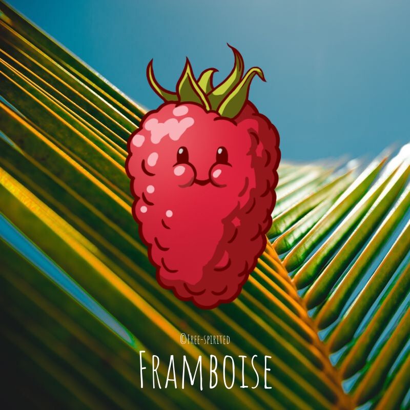 Free-spirited-fruits-légumes-saison-juillet-Framboise