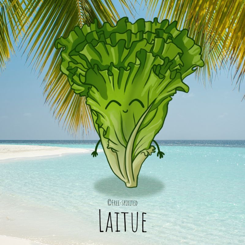 Free-spirited-fruits-légumes-saison-juillet-Laitue