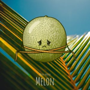 Free-spirited-fruits-légumes-saison-juillet-Melon