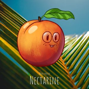 Free-spirited-fruits-légumes-saison-juillet-Nectarine