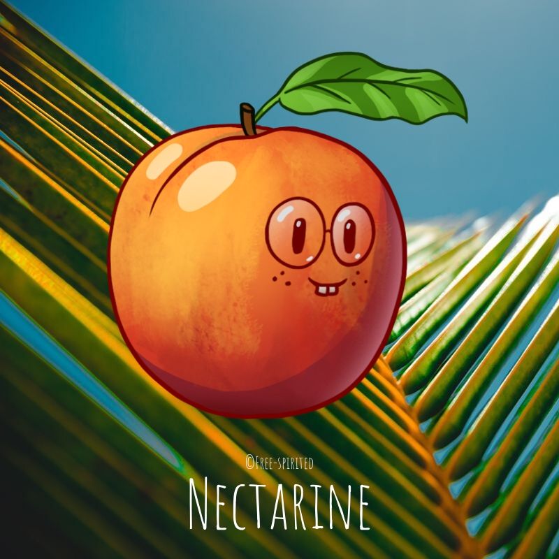 Free-spirited-fruits-légumes-saison-juillet-Nectarine