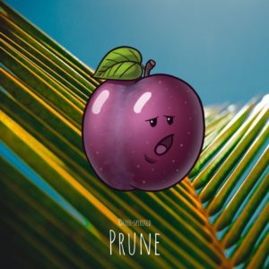 Free-spirited-fruits-légumes-saison-juillet-Prune