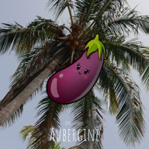 Free-spirited-fruits-légumes-saison-juin-Aubergine