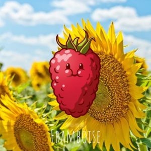Free-spirited-fruits-légumes-saison-juin-Framboise