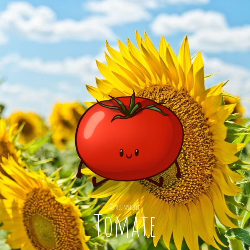 Free-spirited-fruits-légumes-saison-juin-Tomate