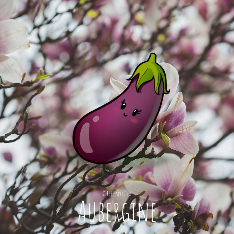 Free-spirited-fruits-légumes-saison-mai-Aubergine