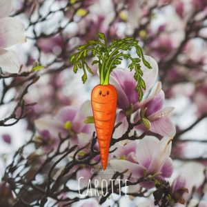 Free-spirited-fruits-légumes-saison-mai-Carotte