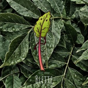 Free-spirited-fruits-légumes-saison-mars-Blette