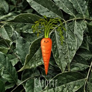Free-spirited-fruits-légumes-saison-mars-Carotte
