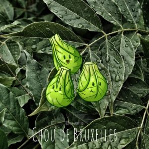 Free-spirited-fruits-légumes-saison-mars-Chou-de-Bruxelle