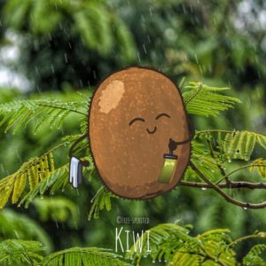 Free-spirited-fruits-légumes-saison-mars-Kiwi