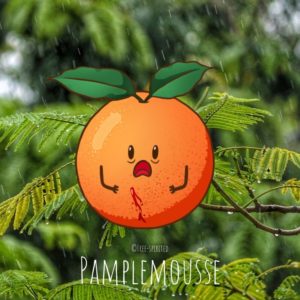 Free-spirited-fruits-légumes-saison-mars-Pamplemousse