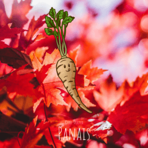 Free-spirited-fruits-légumes-saison-bio-responsable-écologie-septembre-Panais