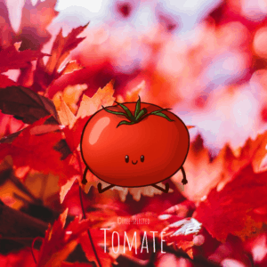 Free-spirited-fruits-légumes-saison-bio-responsable-écologie-septembre-Tomate