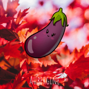 Free-spirited-fruits-légumes-saison-bio-responsable-écologie-septembre-aubergine