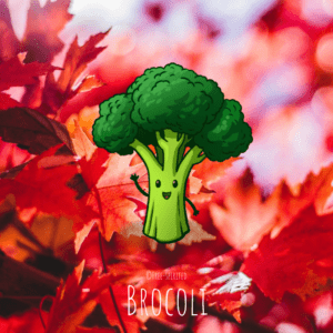 Free-spirited-fruits-légumes-saison-bio-responsable-écologie-septembre-brocoli