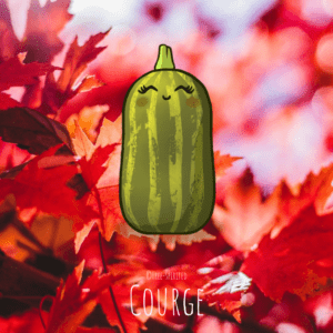 Free-spirited-fruits-légumes-saison-bio-responsable-écologie-septembre-courge