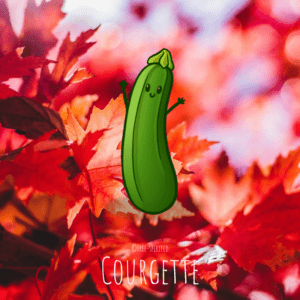 Free-spirited-fruits-légumes-saison-bio-responsable-écologie-septembre-courgette