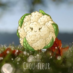 Free-spirited-fruits-légumes-saison-bio-responsable-écologie-novembre-Chou-fleur