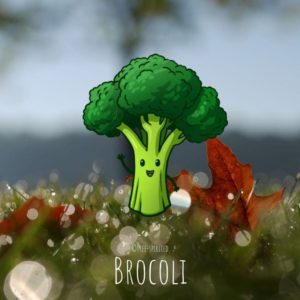 Free-spirited-fruits-légumes-saison-bio-responsable-écologie-novembre-brocoli
