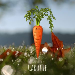 Free-spirited-fruits-légumes-saison-bio-responsable-écologie-novembre-carotte.png