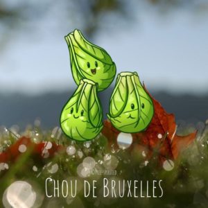 Free-spirited-fruits-légumes-saison-bio-responsable-écologie-novembre-chou-de-bruxelles