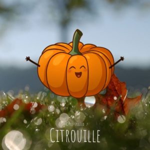 Free-spirited-fruits-légumes-saison-bio-responsable-écologie-novembre-cirtouille