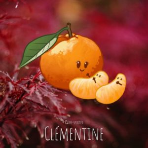Free-spirited-fruits-légumes-saison-bio-responsable-écologie-novembre-clementine