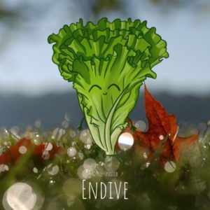 Free-spirited-fruits-légumes-saison-bio-responsable-écologie-novembre-endive