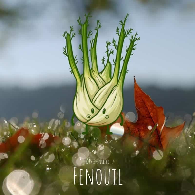 Free-spirited-fruits-légumes-saison-bio-responsable-écologie-novembre-fenouille