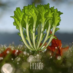 Free-spirited-fruits-légumes-saison-bio-responsable-écologie-novembre-frisee