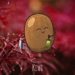 Free-spirited-fruits-légumes-saison-bio-responsable-écologie-novembre-kiwi