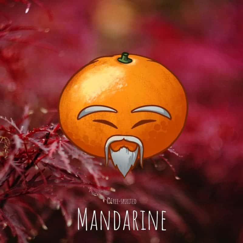 Free-spirited-fruits-légumes-saison-bio-responsable-écologie-novembre-mandarine