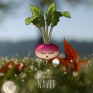 Free-spirited-fruits-légumes-saison-bio-responsable-écologie-novembre-navet