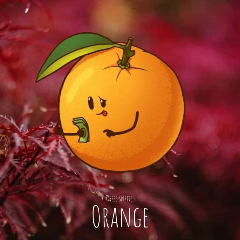 Free-spirited-fruits-légumes-saison-bio-responsable-écologie-novembre-orange